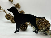 Ophæng med Curly Coated Retriever